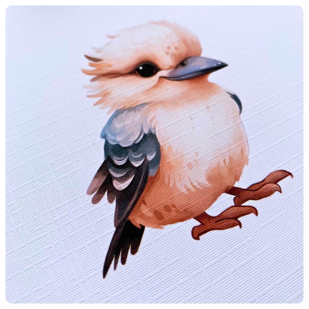 Kookaburra - Greeting Card