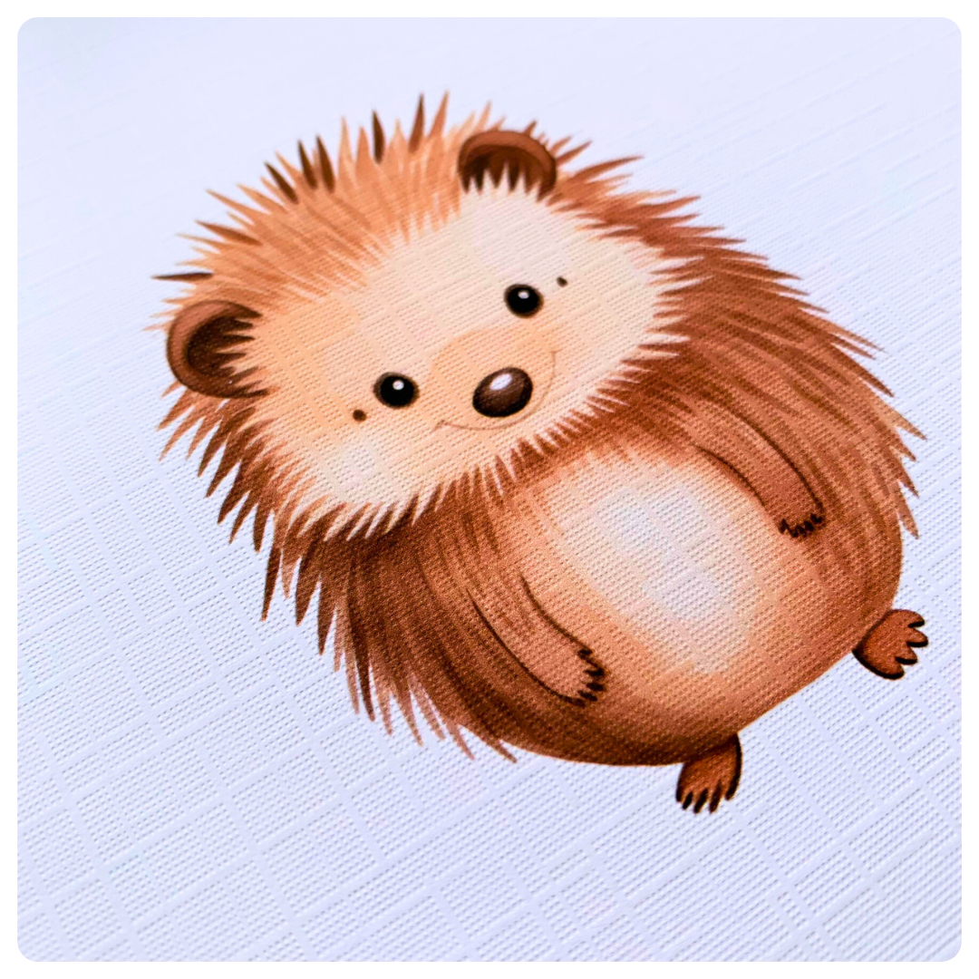 Echidna - Greeting Card