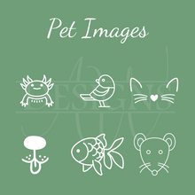 Load image into Gallery viewer, Pet Treat Jar - Etched Glass
